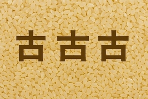 01.KokokoMai.jpg