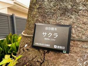 02.SakuraHyoushiki.jpg