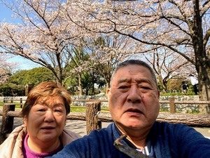 03.SachieSakura.jpg