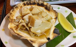 08.Hotate.jpg